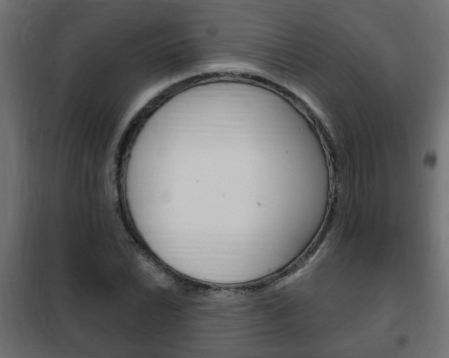 X0000102461022200808080939