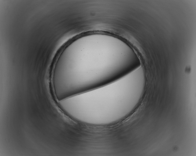 X0000102461024200808080939