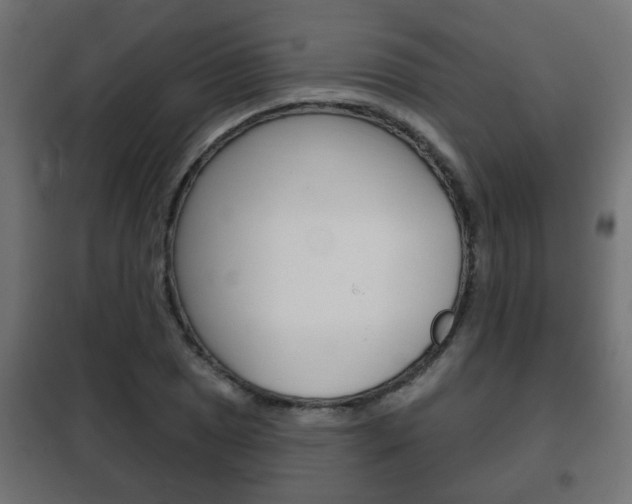 X0000102461025200808080939