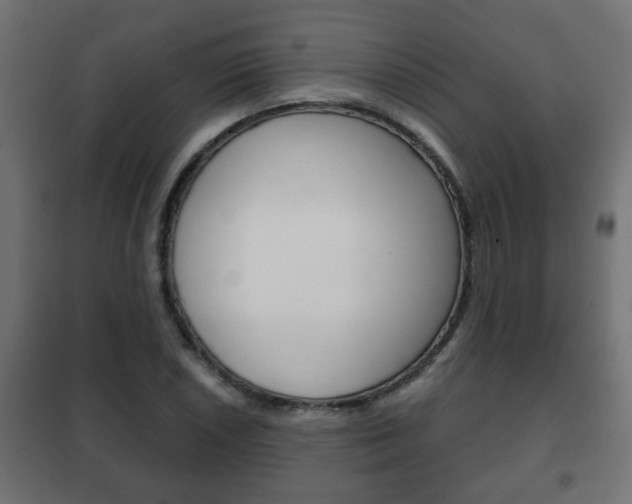 X0000102461026200808080939