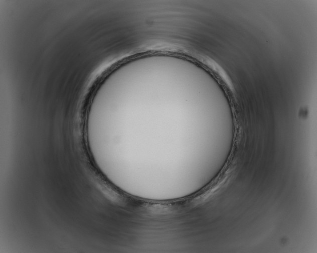 X0000102461027200808080939