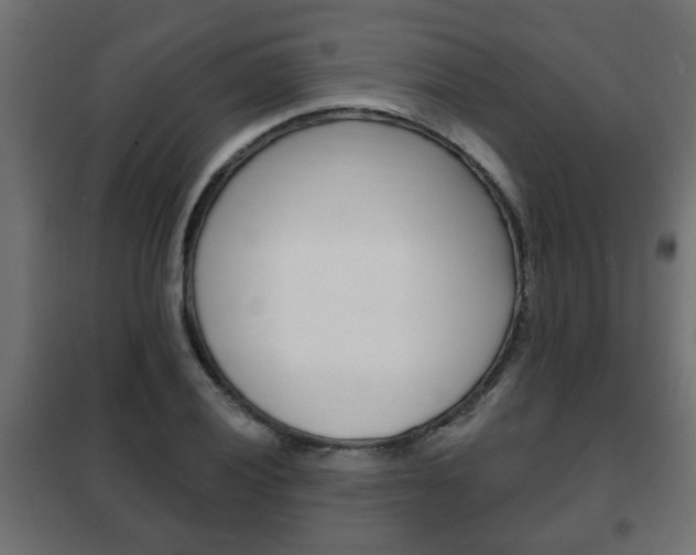 X0000102461028200808080939