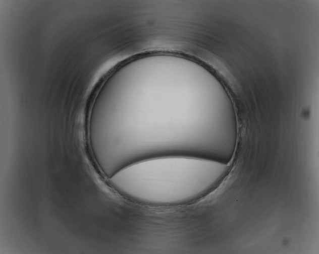 X0000102461030200808080939