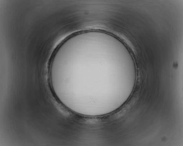 X0000102461031200808080939