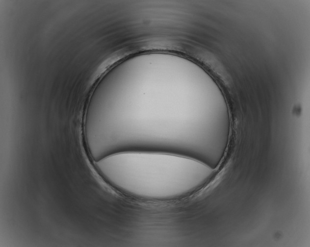 X0000102461033200808080939