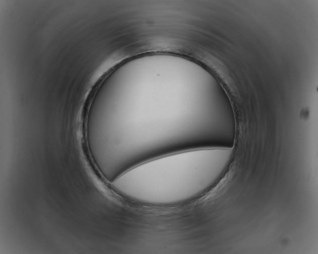 X0000102461034200808080940