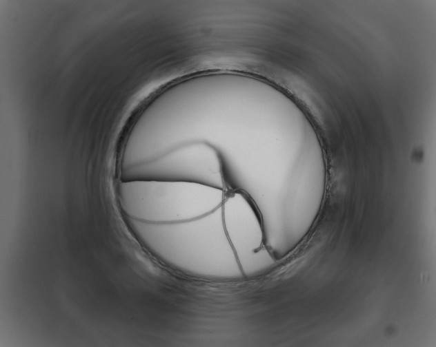 X0000102461035200808080940