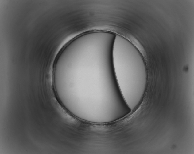 X0000102461036200808080940