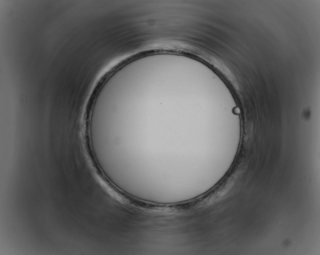 X0000102461037200808080940