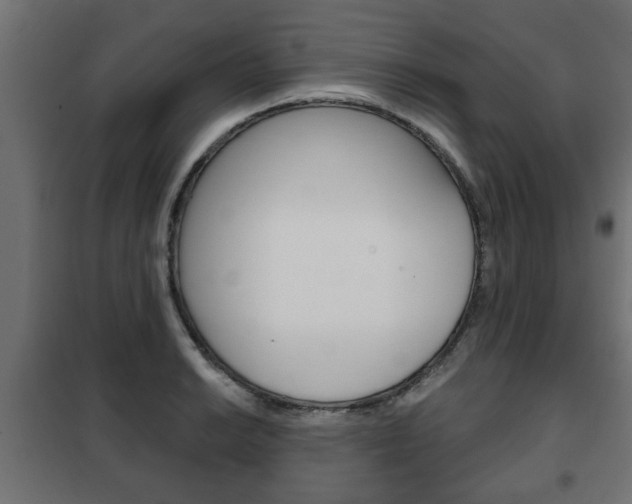 X0000102461038200808080940