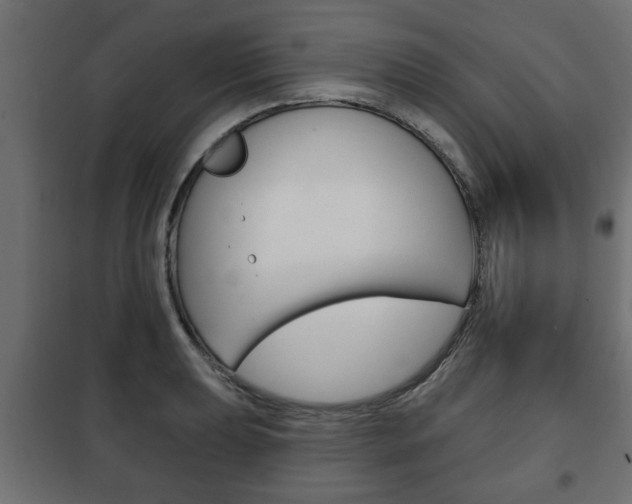 X0000102461039200808080940