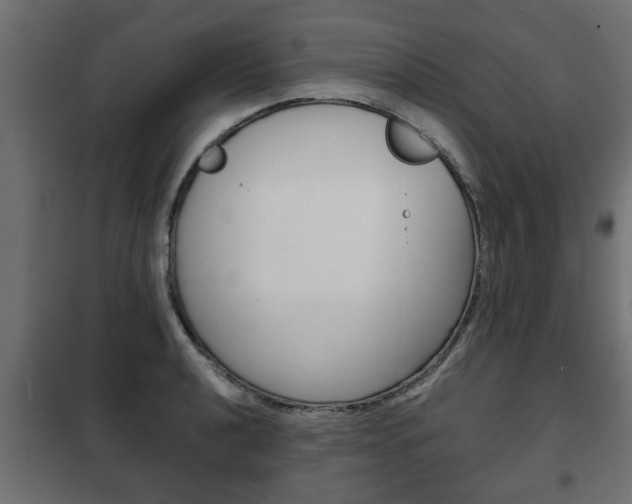 X0000102461040200808080940