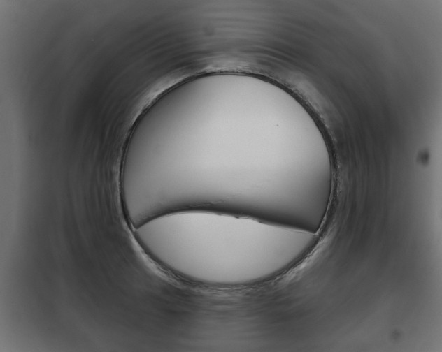 X0000102461041200808080940