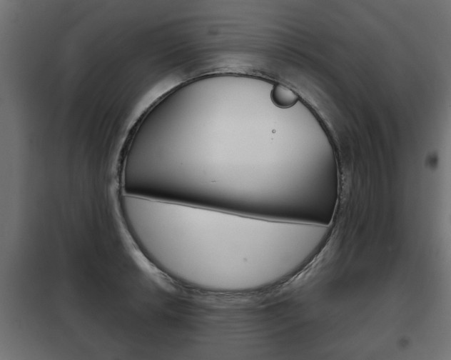 X0000102461042200808080940