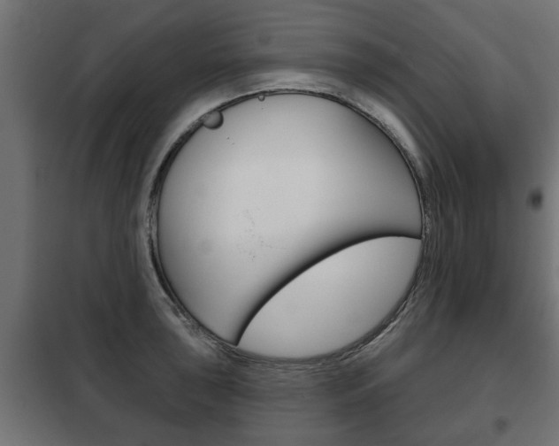 X0000102461043200808080940