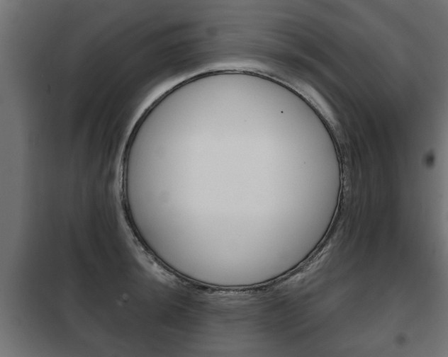 X0000102461044200808080940