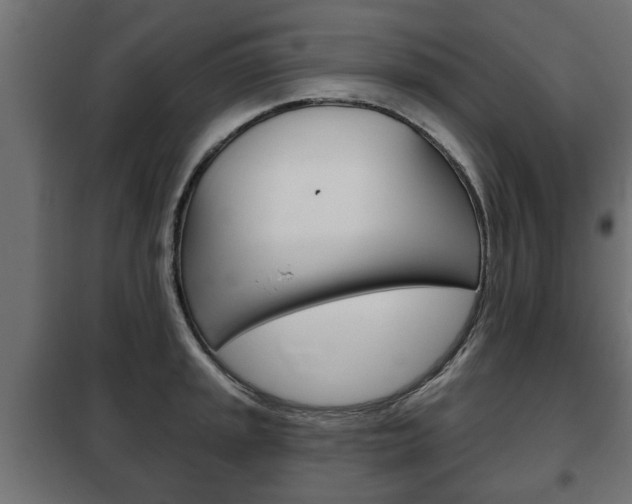 X0000102461045200808080940