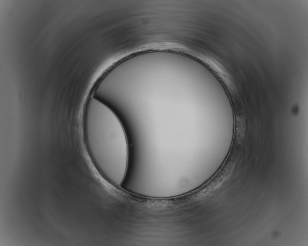 X0000102461046200808080940