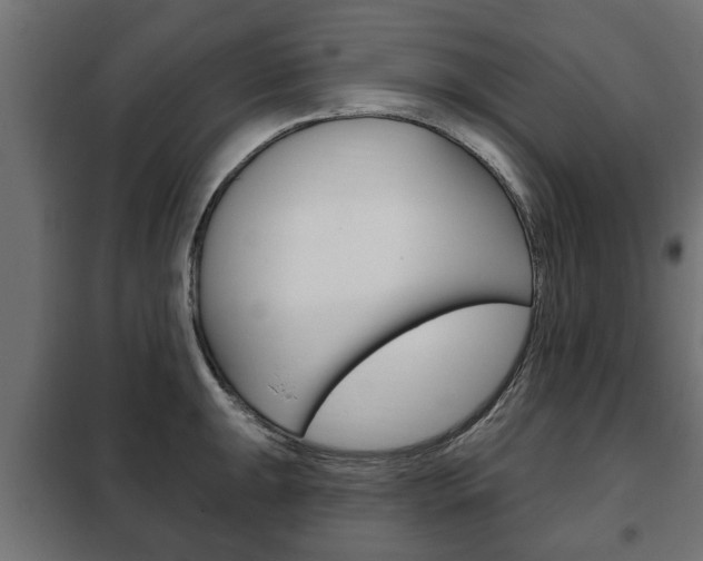 X0000102461047200808080940
