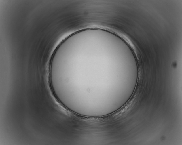 X0000102461048200808080940