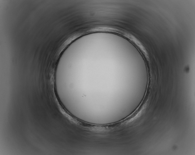 X0000102461049200808080940