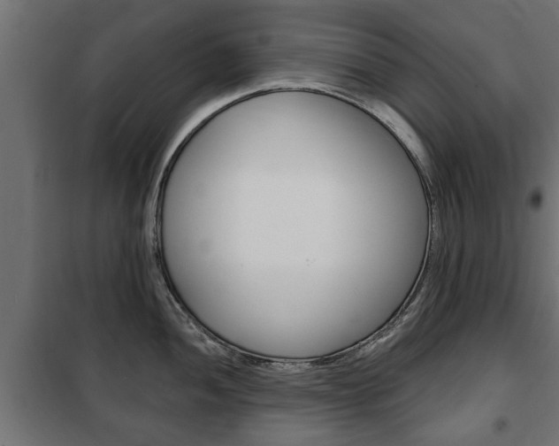 X0000102461052200808080940