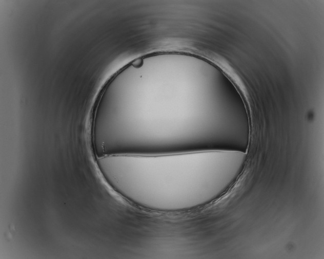 X0000102461053200808080940