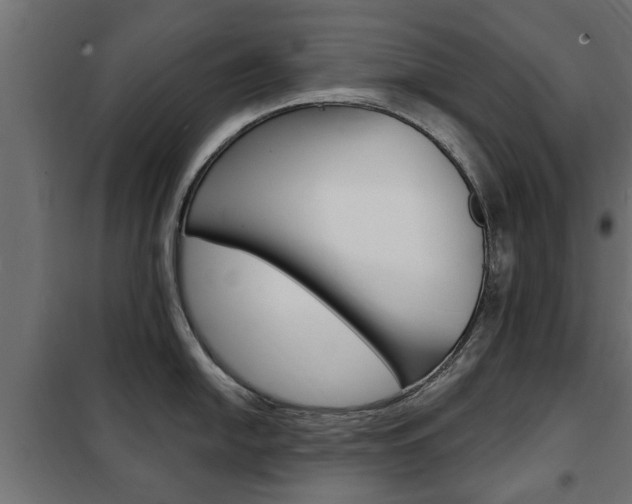 X0000102461054200808080940