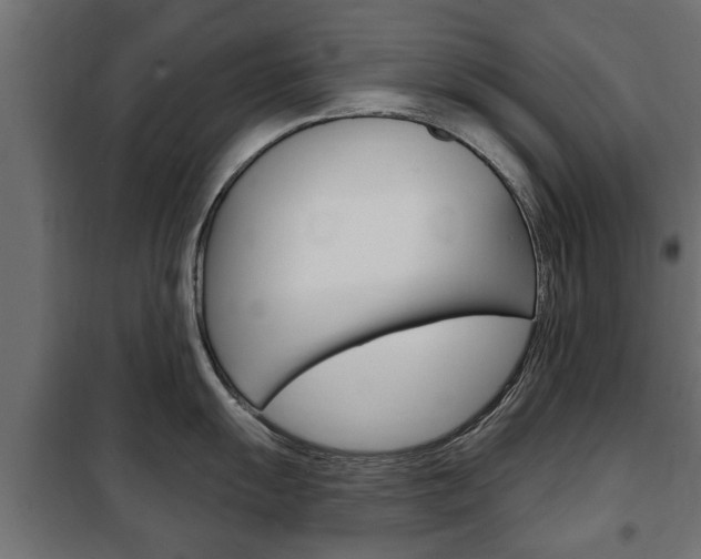 X0000102461055200808080940