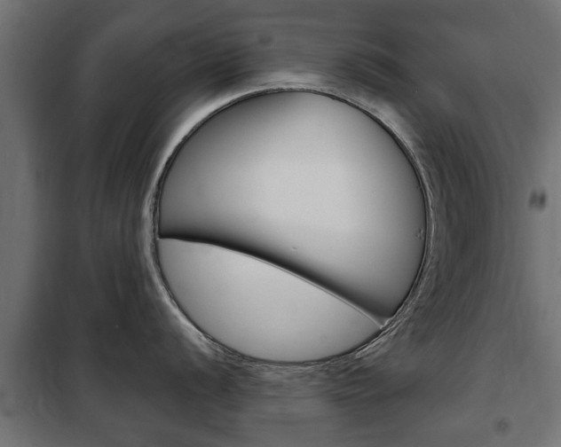 X0000102461056200808080940