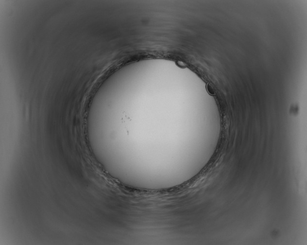 X0000102461057200808080939