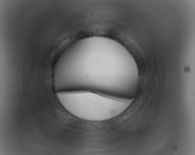 X0000102461058200808080939