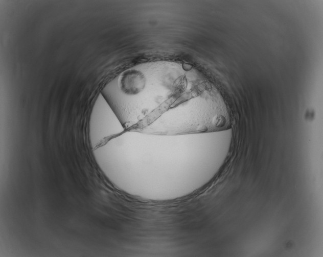 X0000102461059200808080939