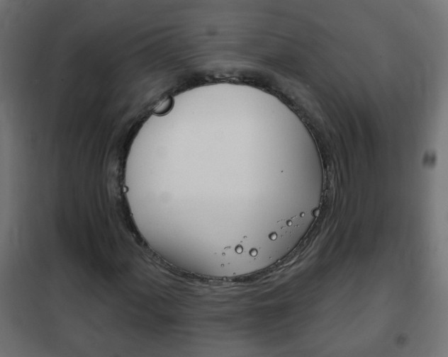 X0000102461060200808080939