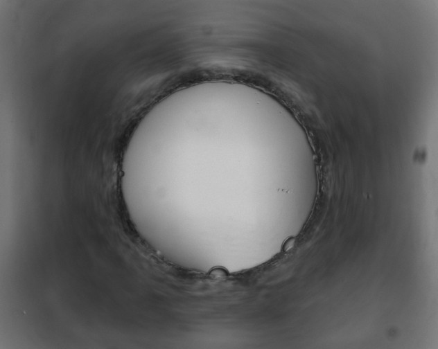 X0000102461061200808080939