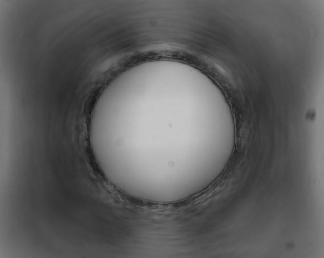 X0000102461062200808080939