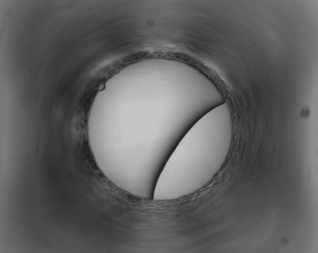 X0000102461063200808080939