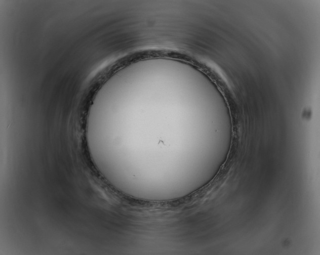 X0000102461064200808080939