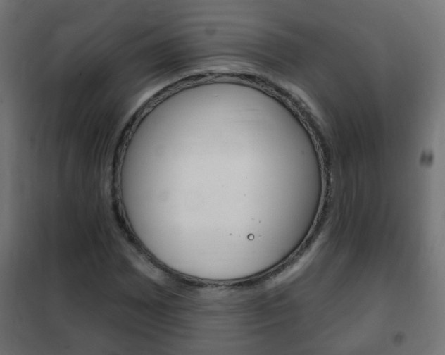 X0000102461065200808080939