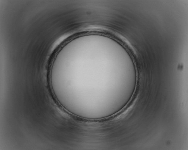 X0000102461066200808080939