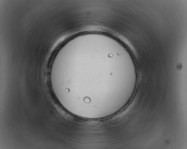 X0000102461067200808080939