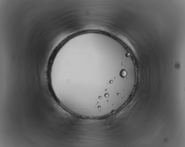 X0000102461068200808080939