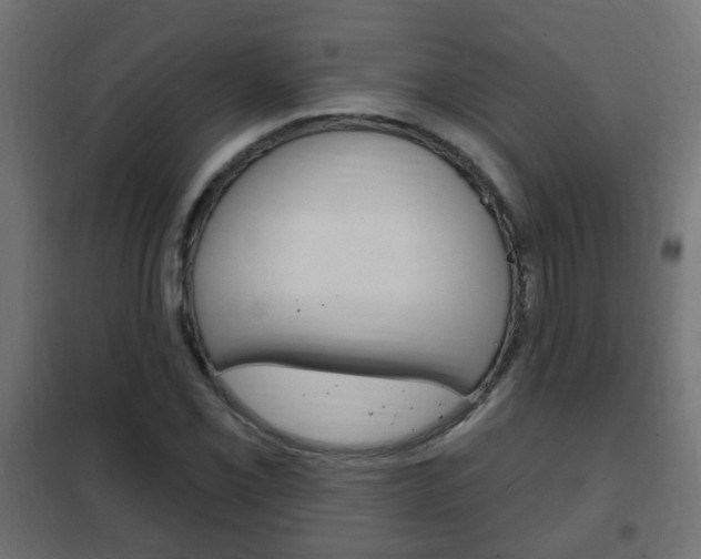 X0000102461069200808080939