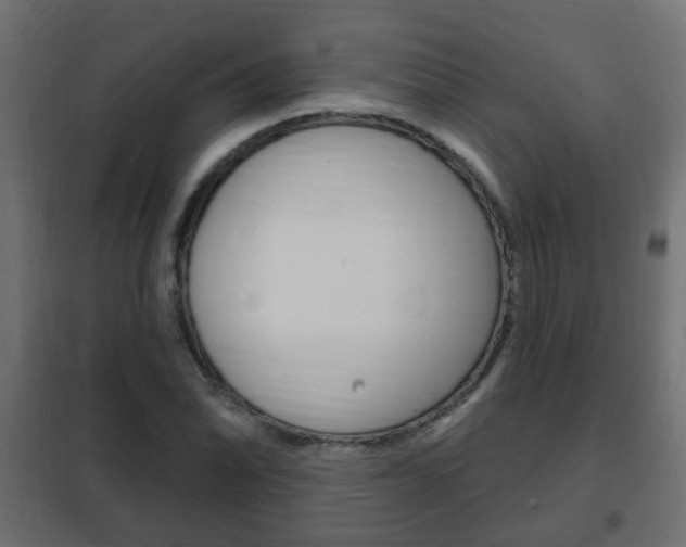 X0000102461070200808080939
