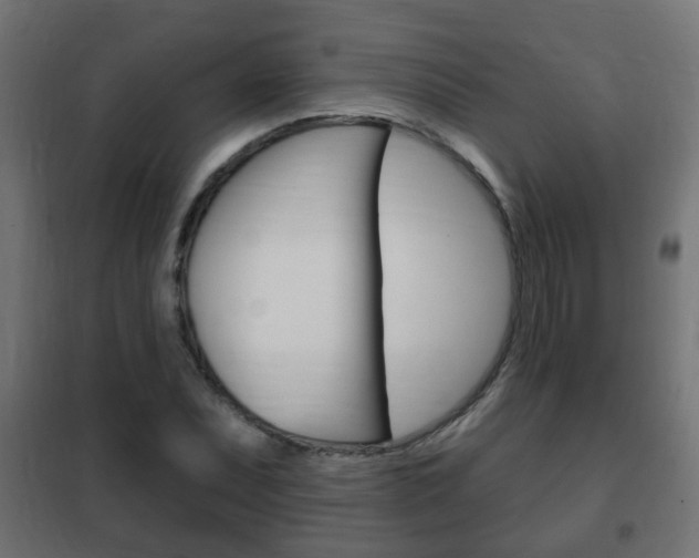 X0000102461071200808080939