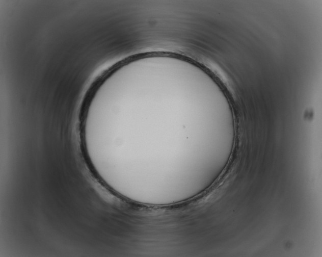 X0000102461072200808080939