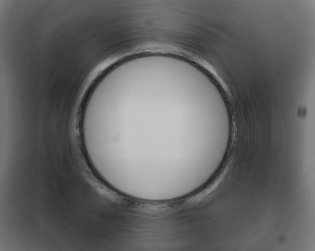 X0000102461074200808080939