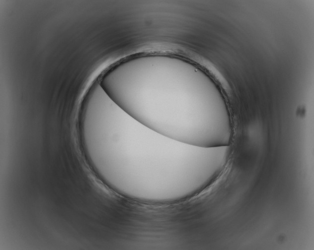 X0000102461075200808080939