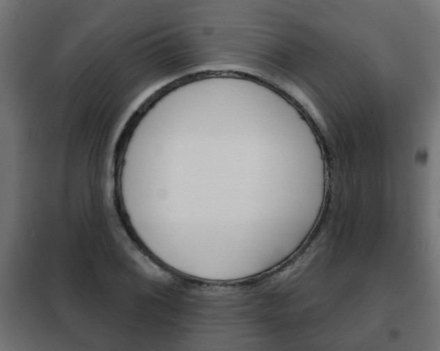 X0000102461076200808080939