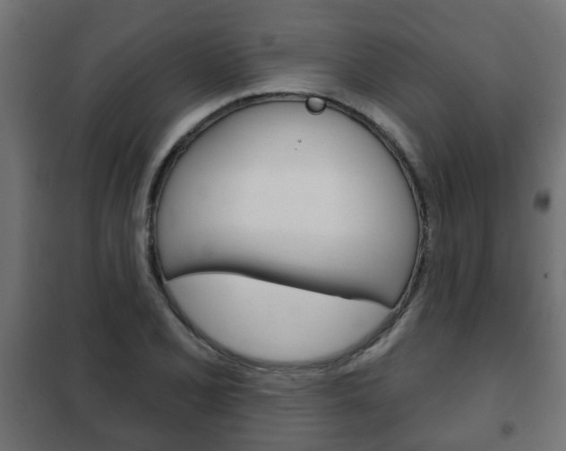 X0000102461077200808080939